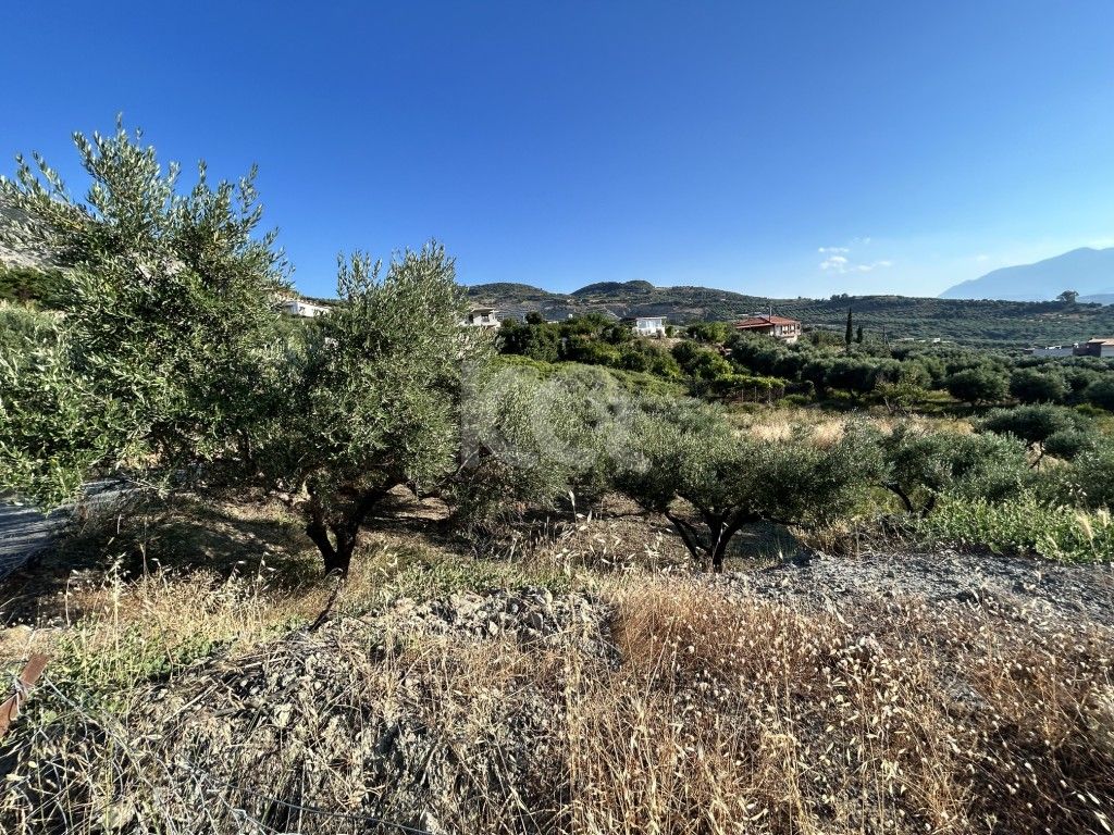 εικόνα αγγελίας