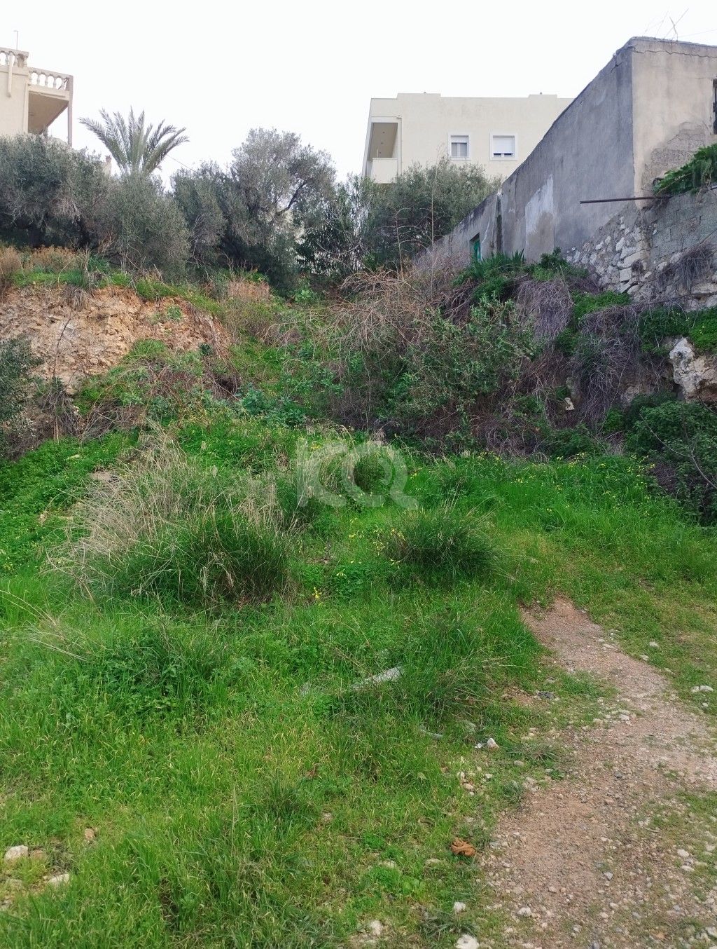 εικόνα αγγελίας