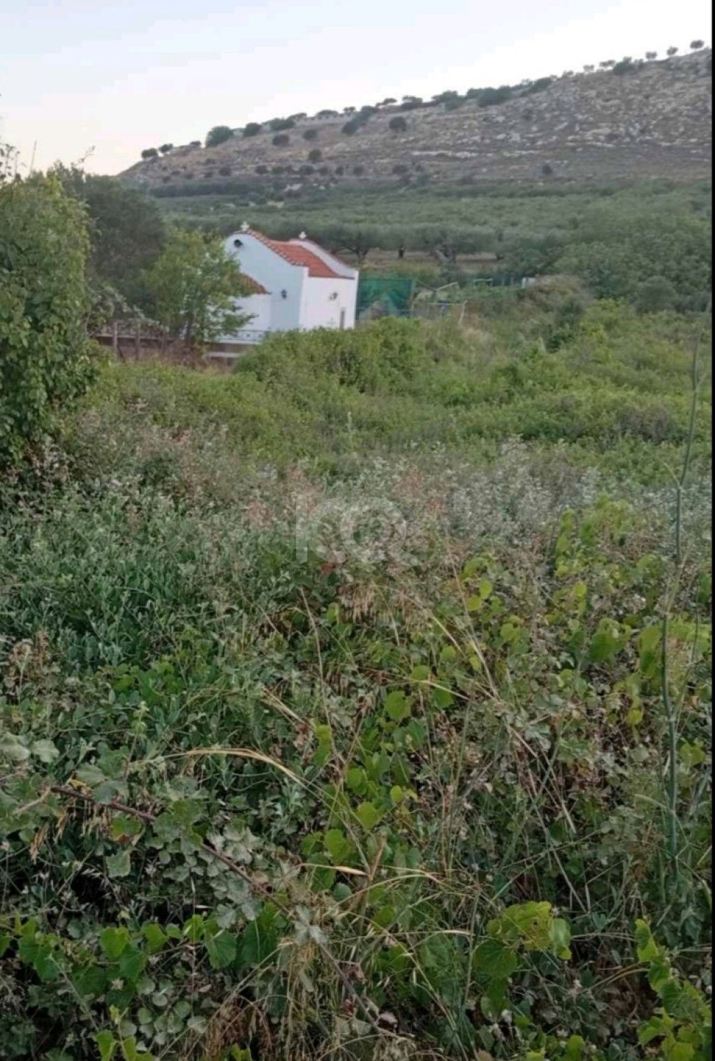 εικόνα αγγελίας