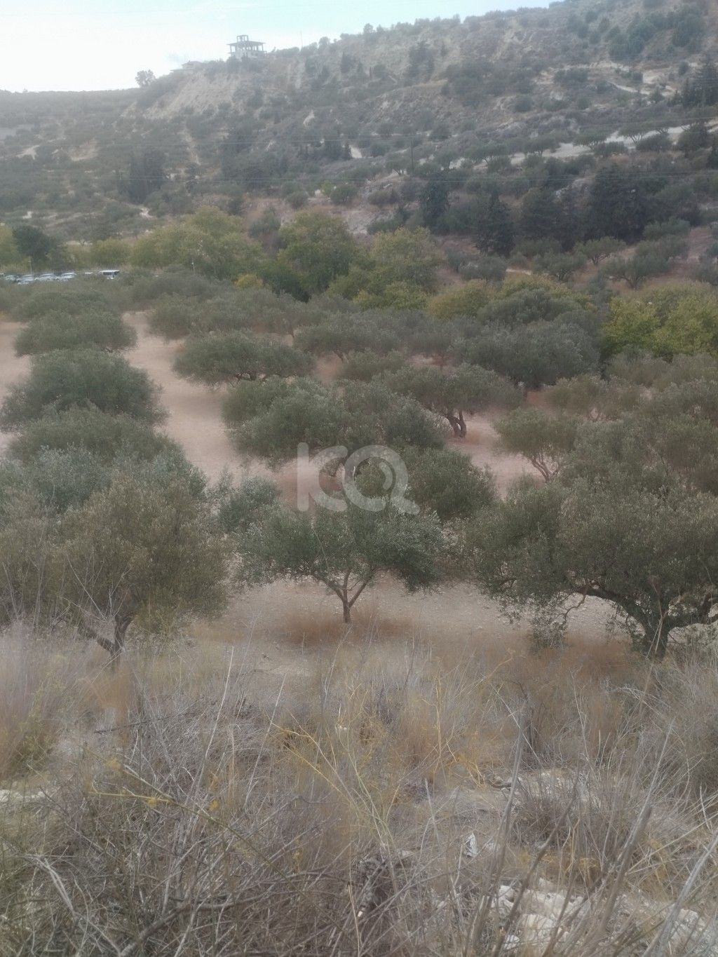 εικόνα αγγελίας