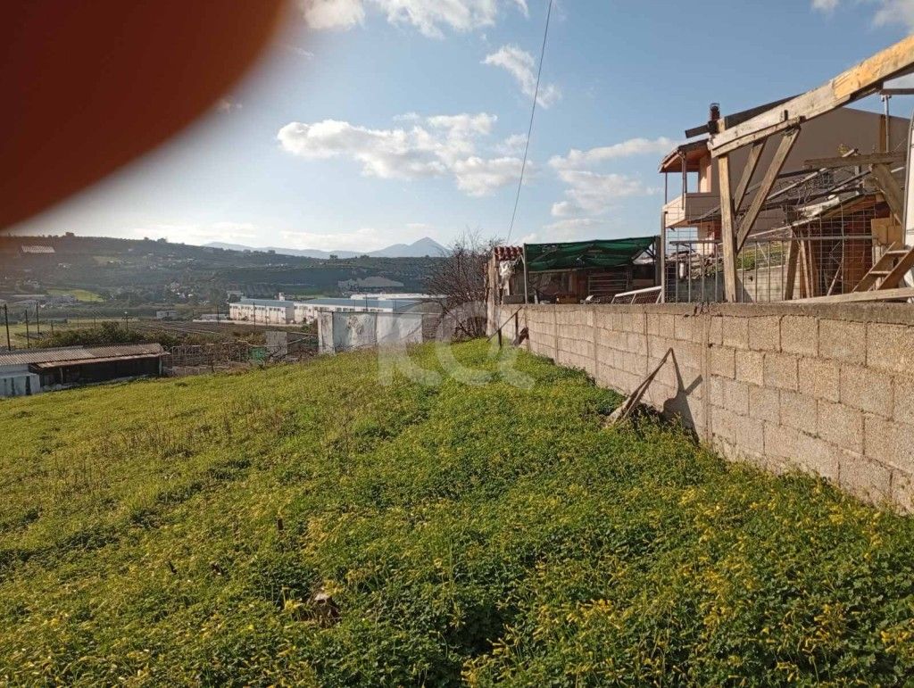 εικόνα αγγελίας