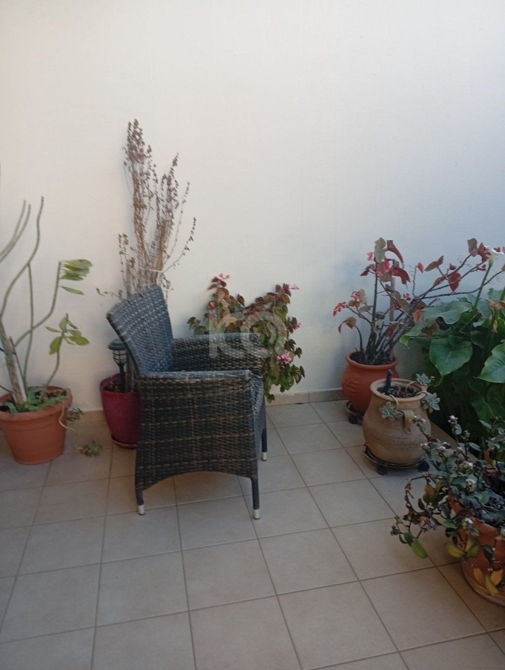 εικόνα αγγελίας