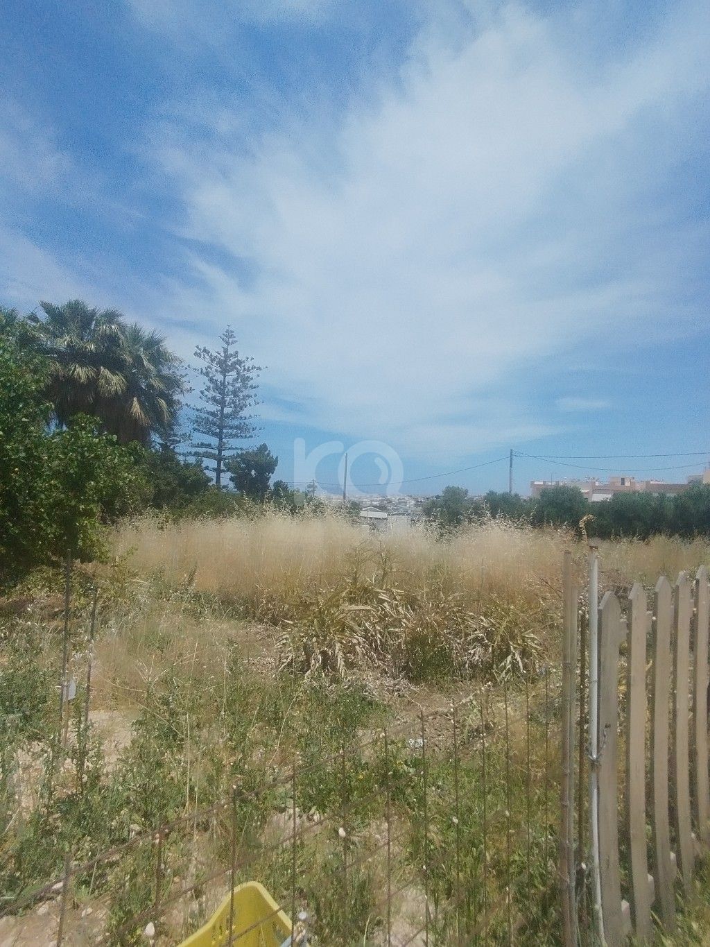 εικόνα αγγελίας