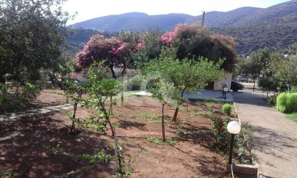 εικόνα αγγελίας