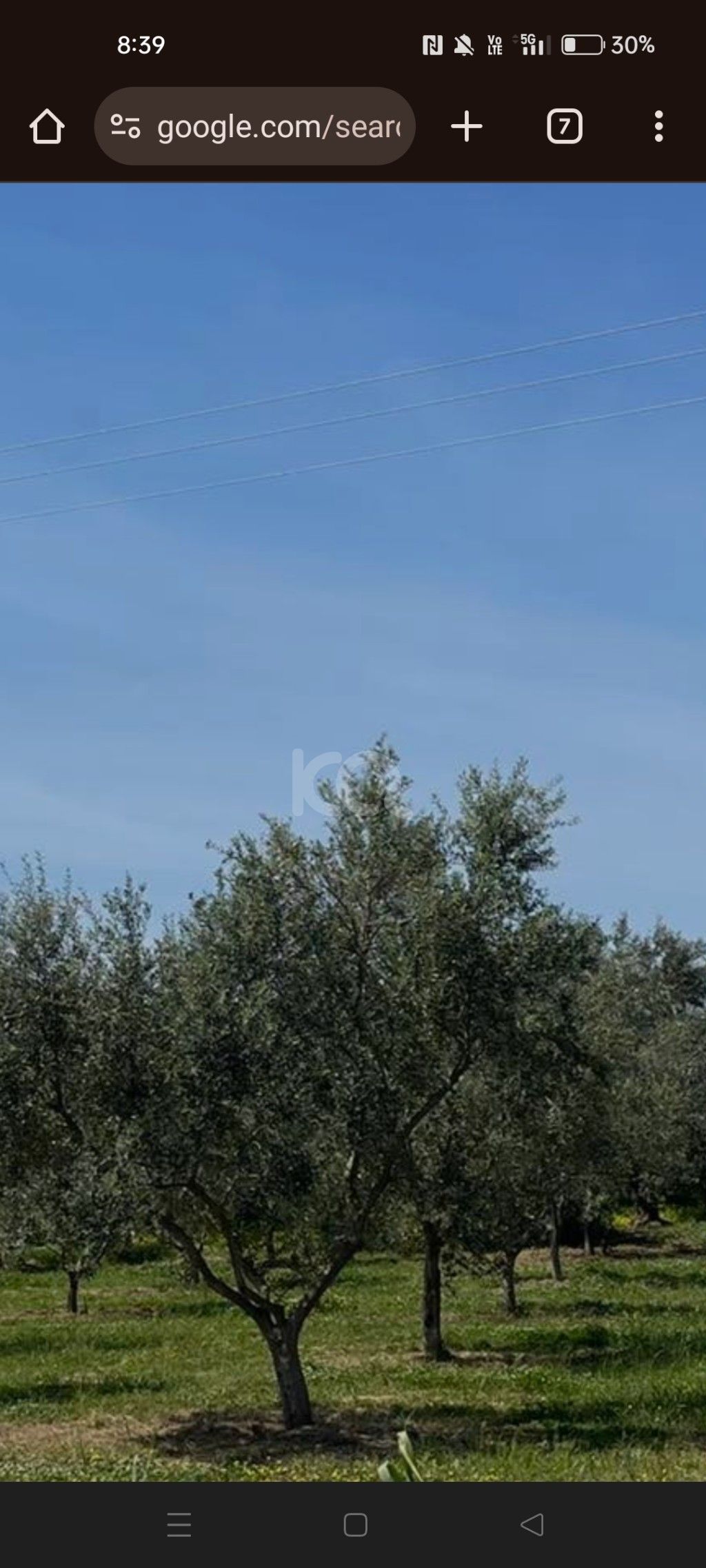 εικόνα αγγελίας