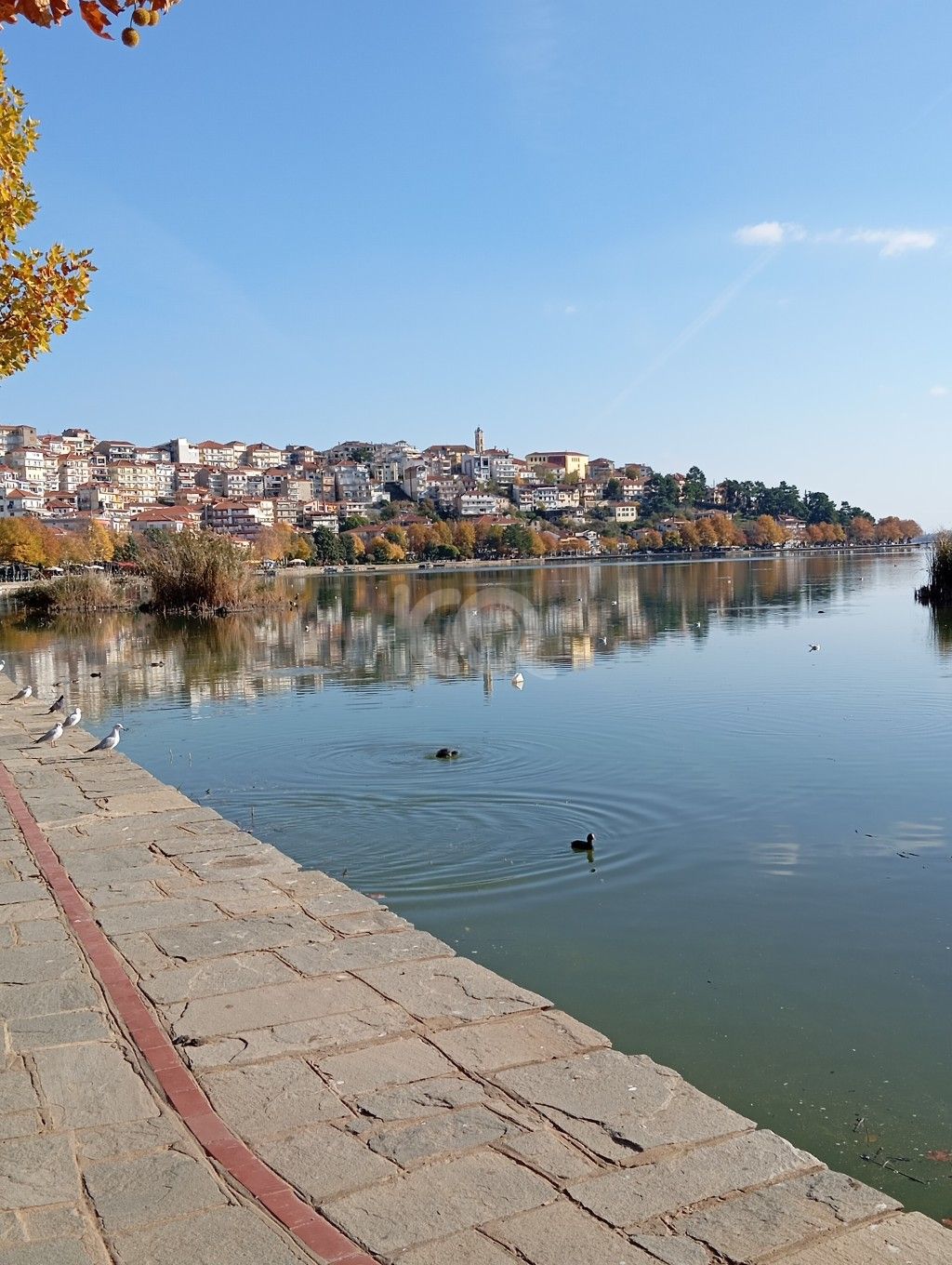 εικόνα αγγελίας