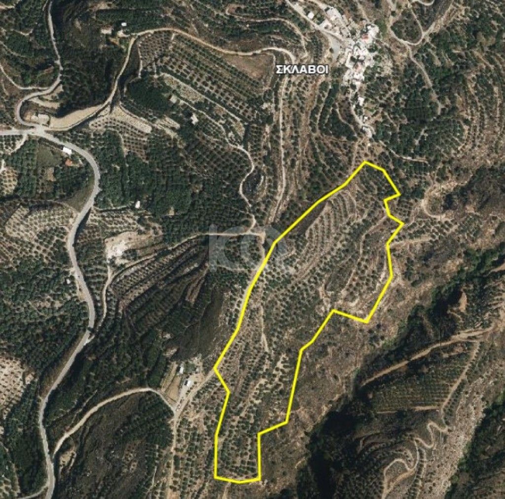 εικόνα αγγελίας