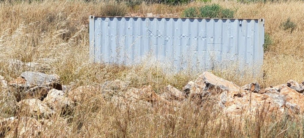 εικόνα αγγελίας