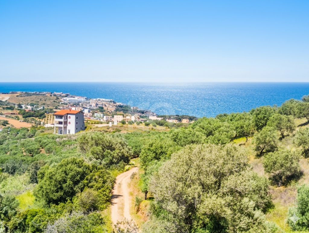 εικόνα αγγελίας