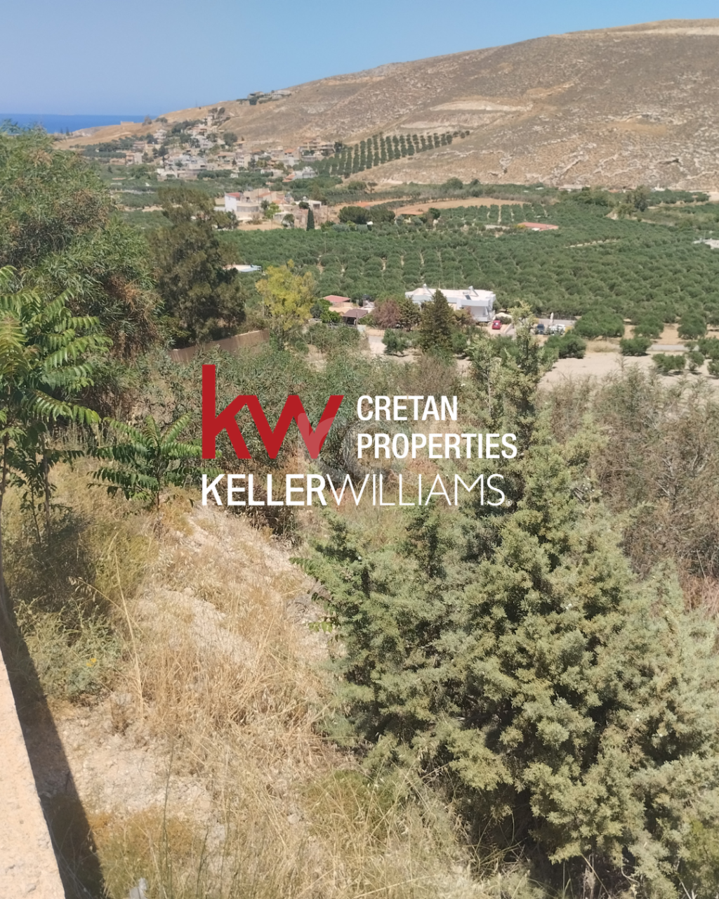 εικόνα αγγελίας