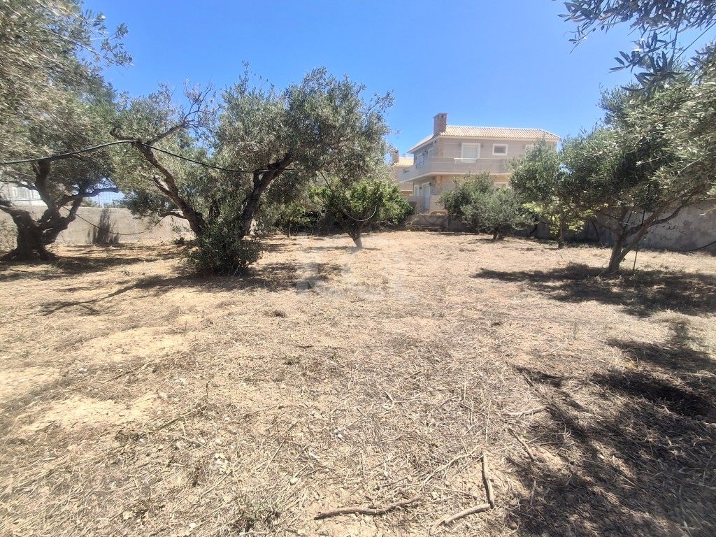 εικόνα αγγελίας