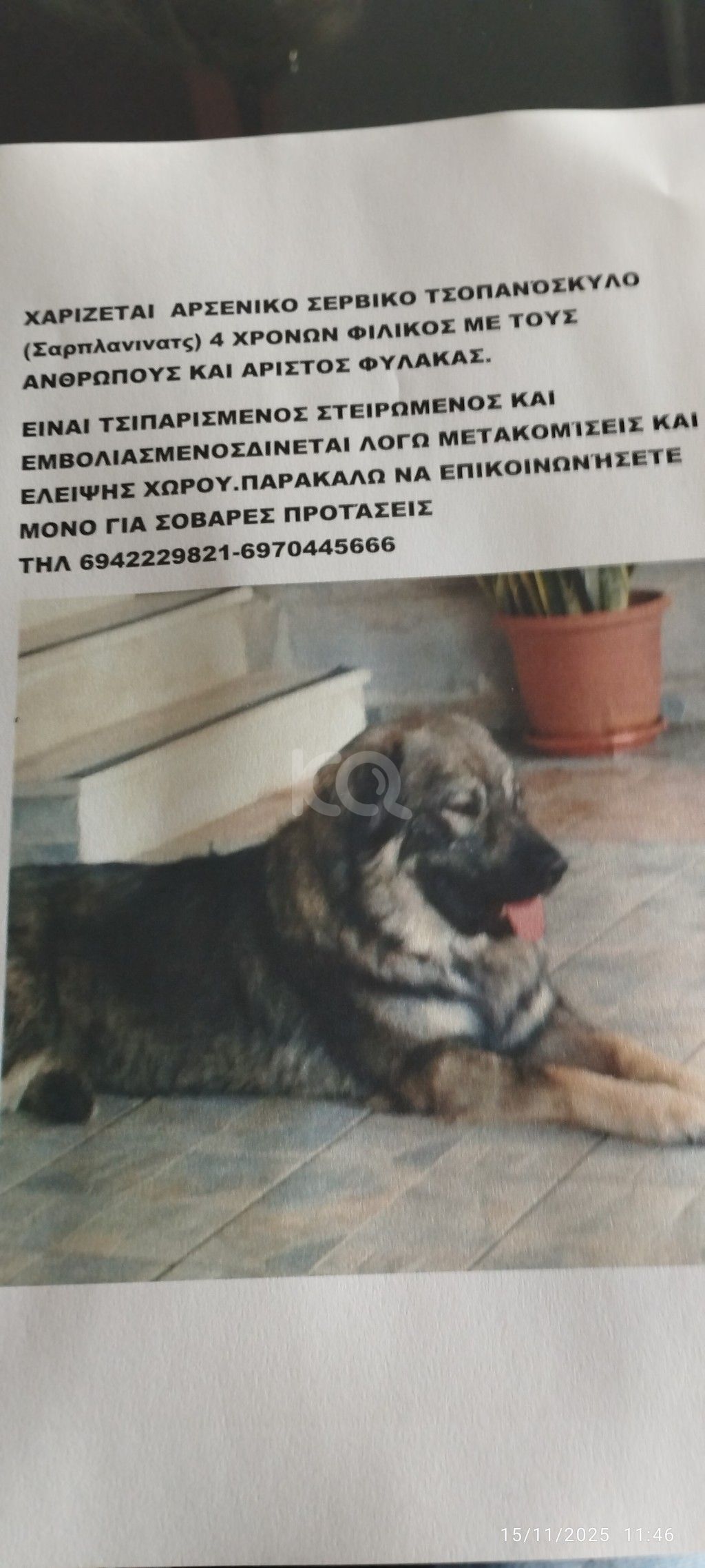 εικόνα αγγελίας