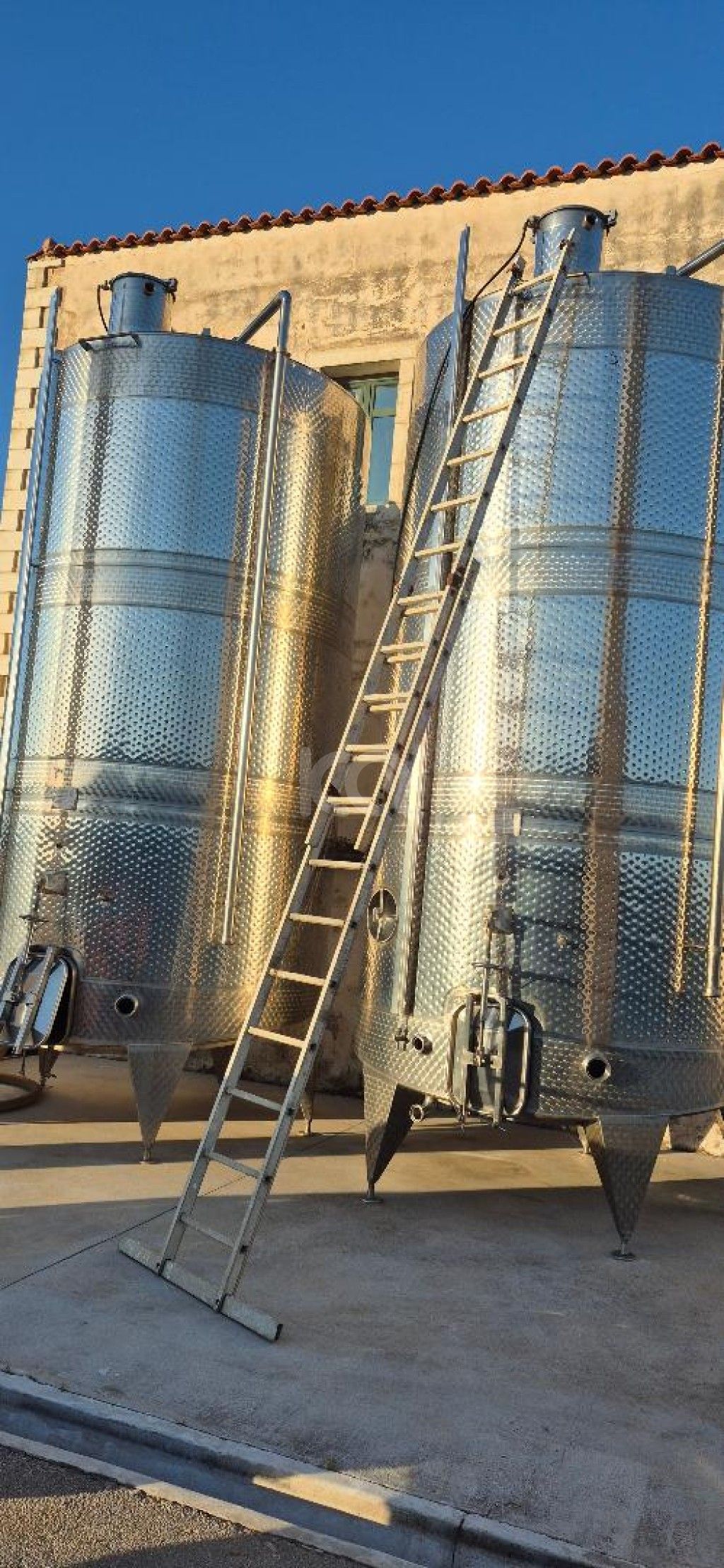 εικόνα αγγελίας