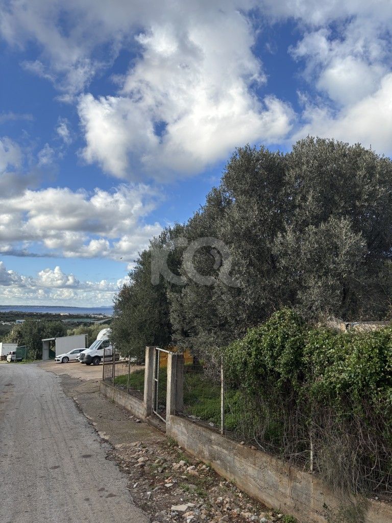 εικόνα αγγελίας