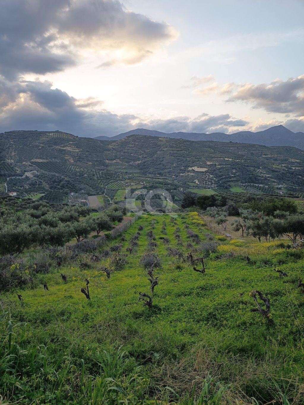 εικόνα αγγελίας