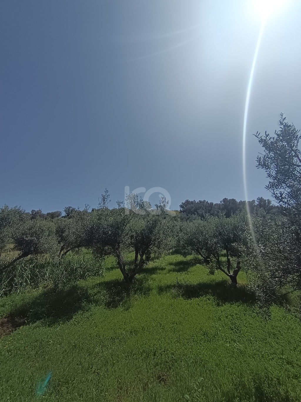 εικόνα αγγελίας