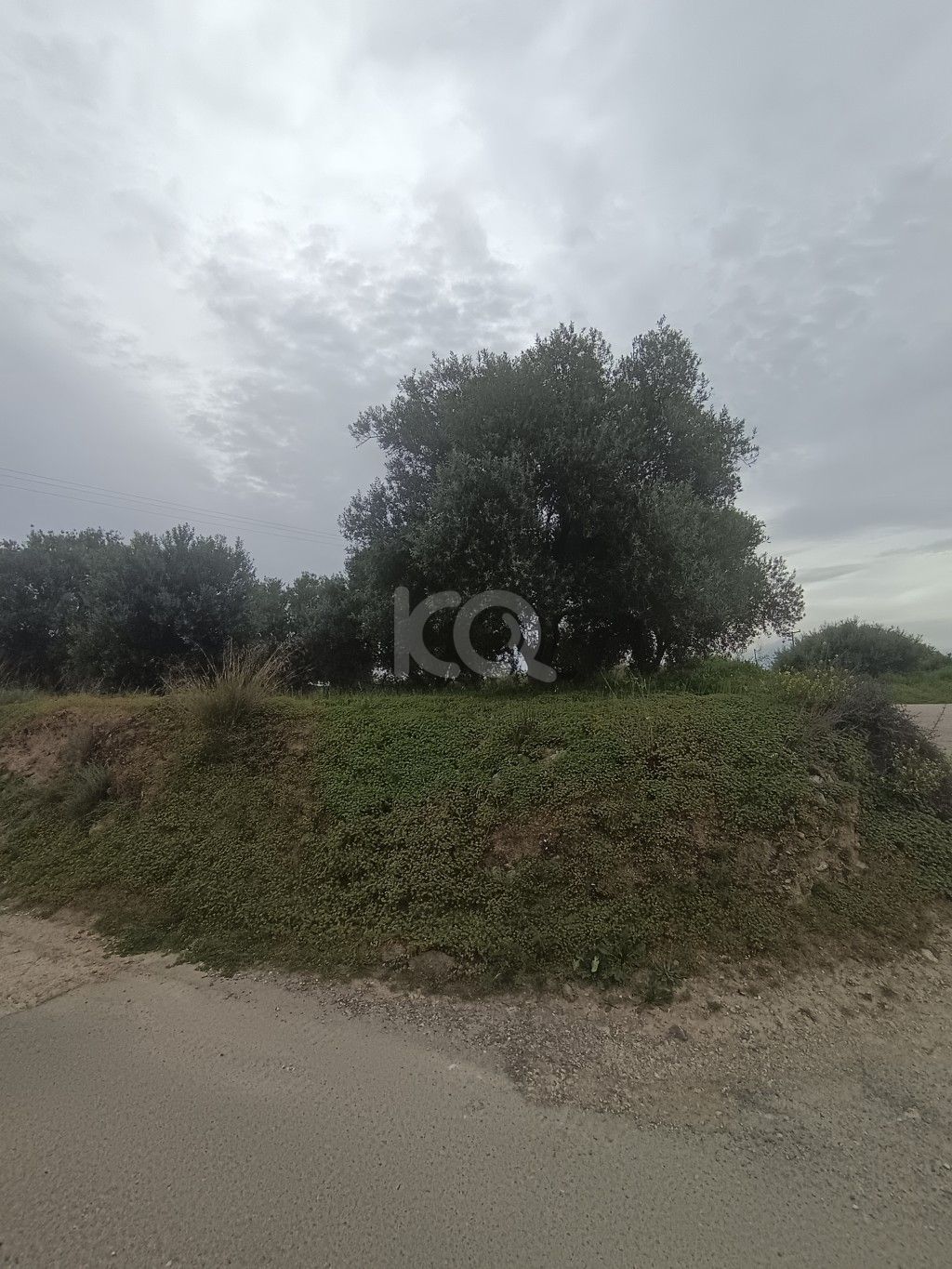 εικόνα αγγελίας