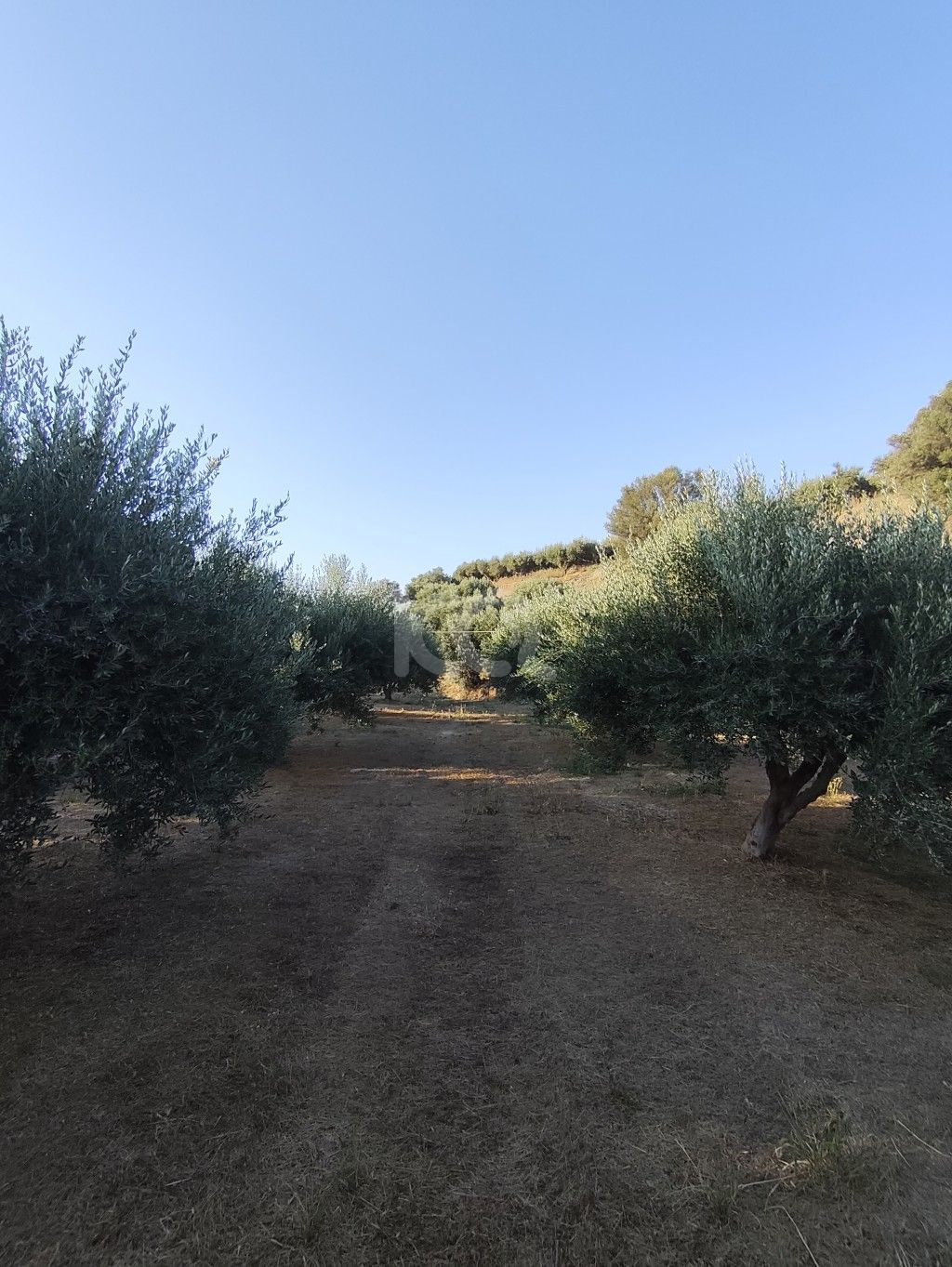 εικόνα αγγελίας