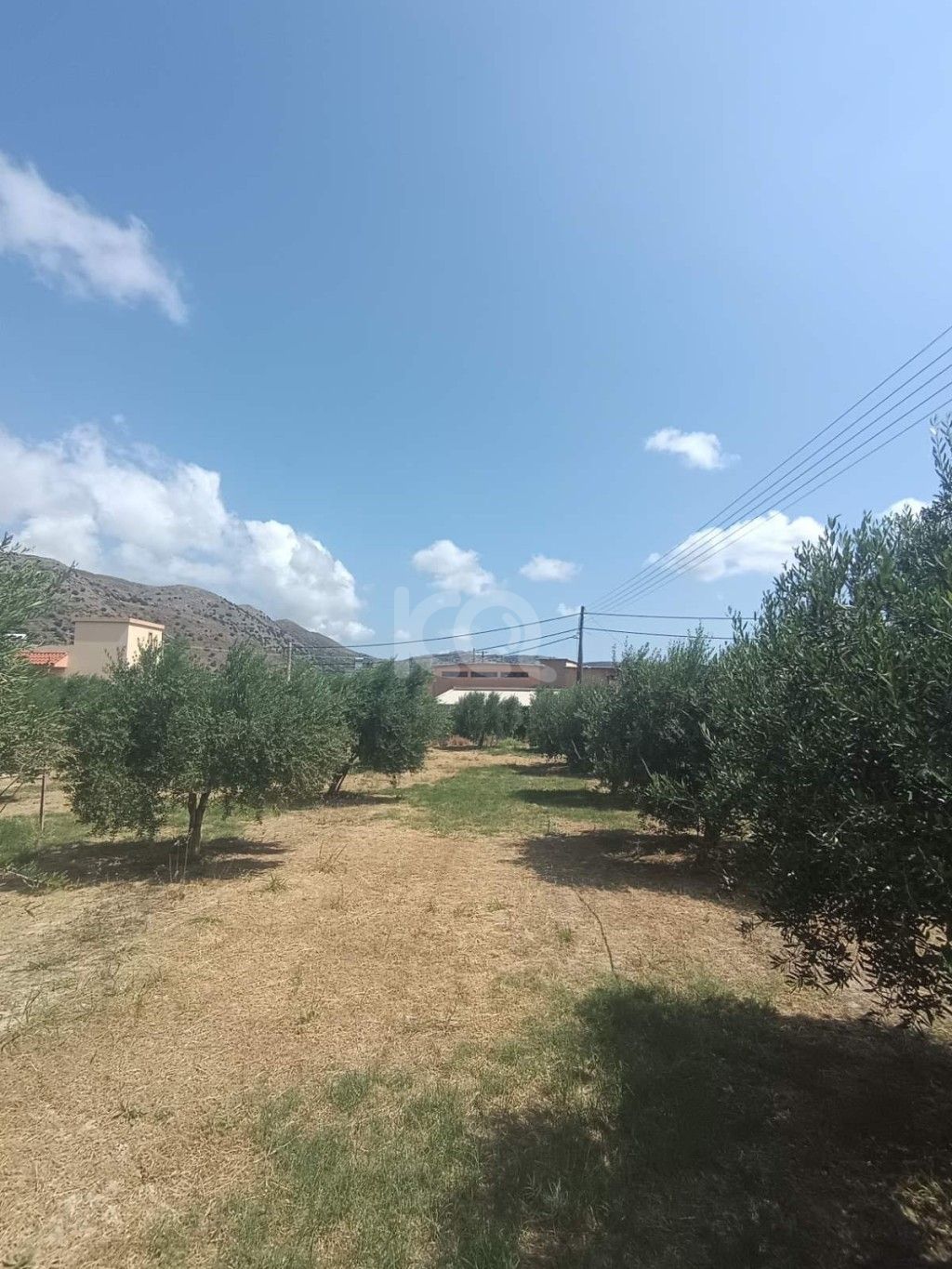 εικόνα αγγελίας