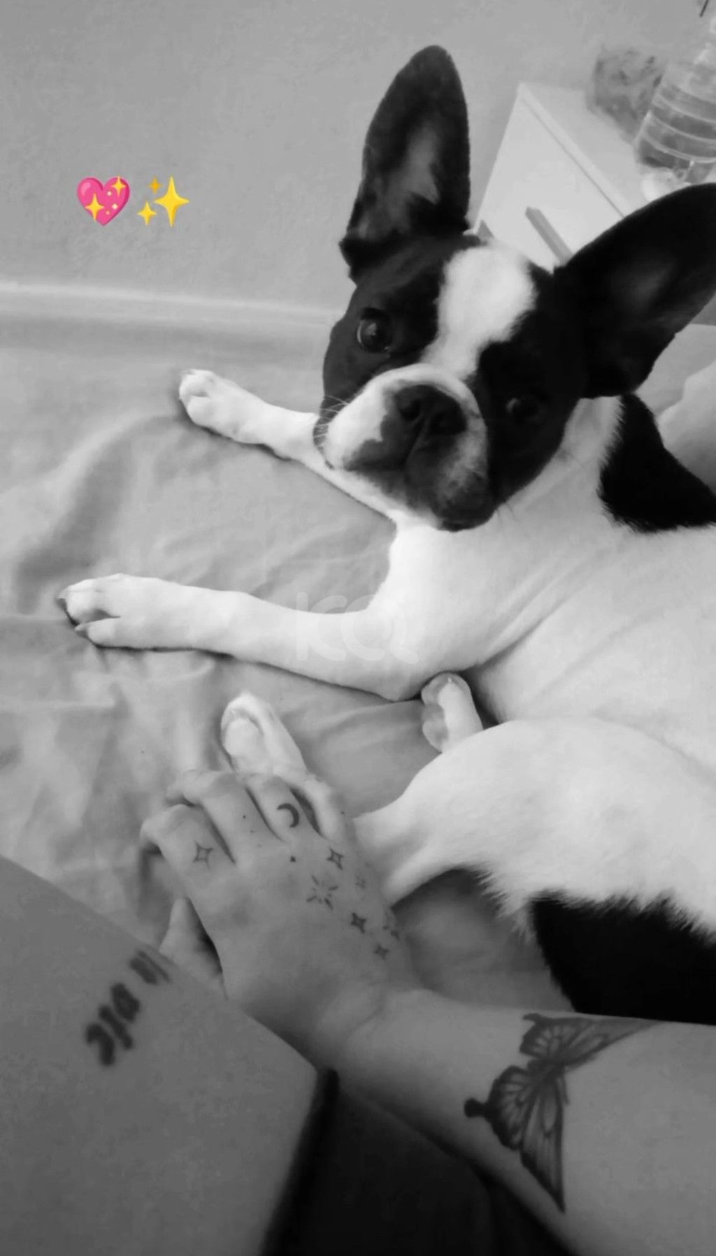 εικόνα αγγελίας