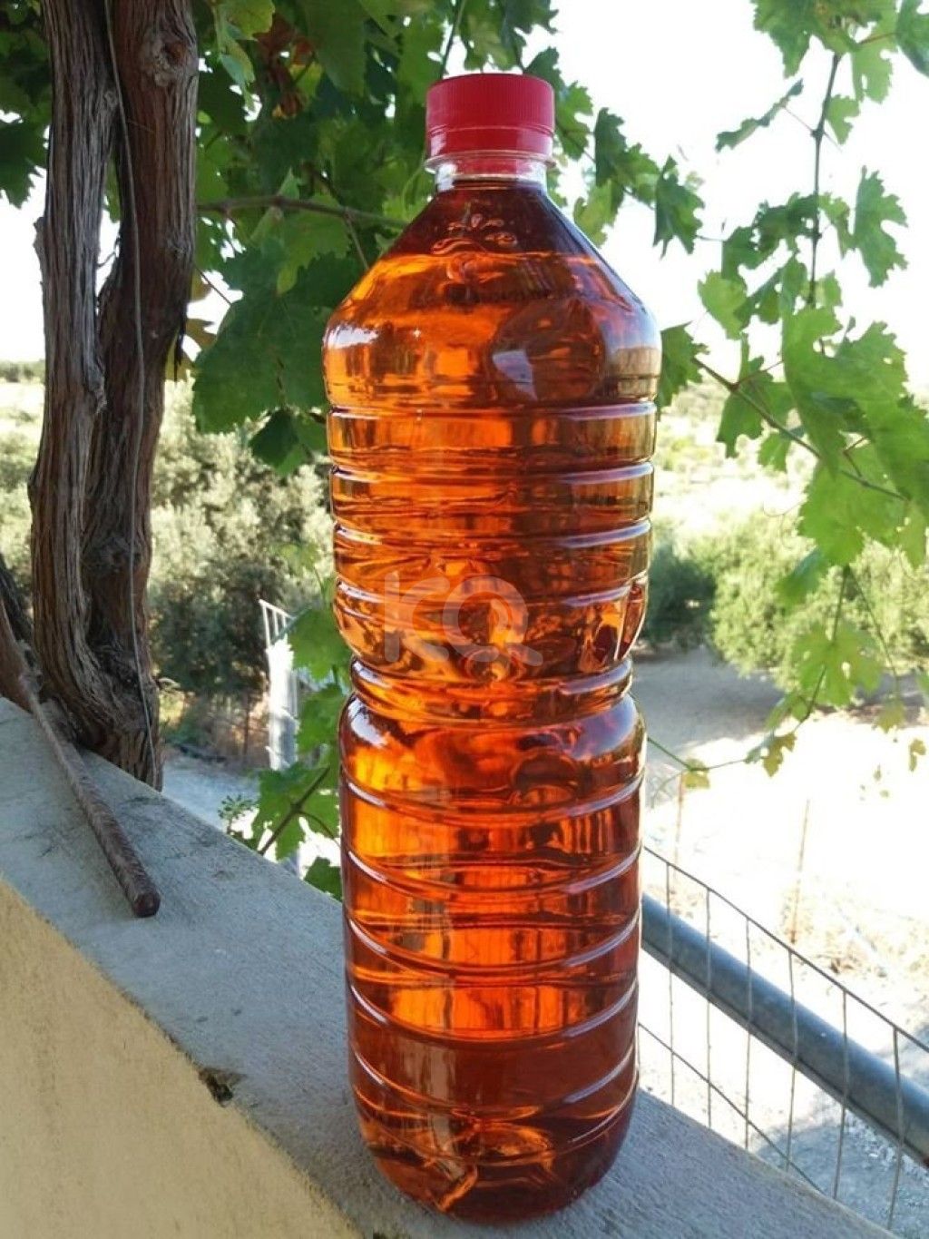 εικόνα αγγελίας