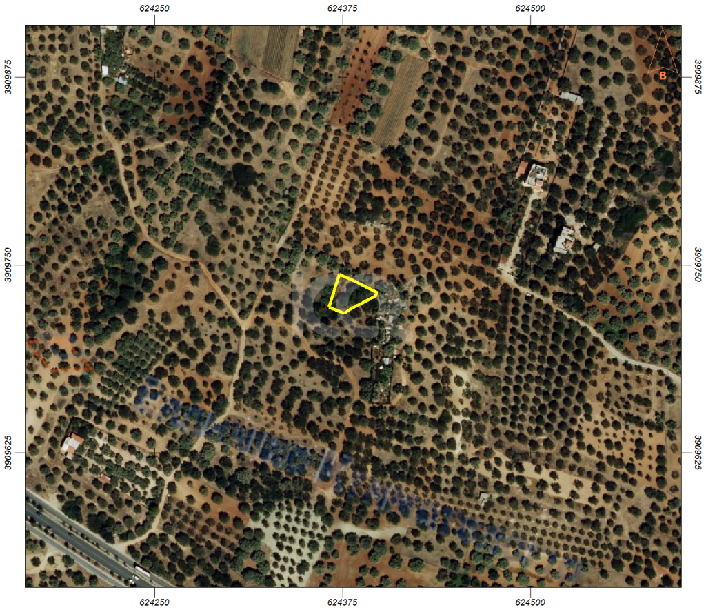 εικόνα αγγελίας