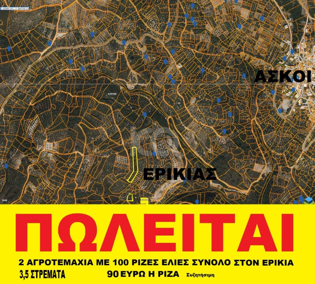 εικόνα αγγελίας