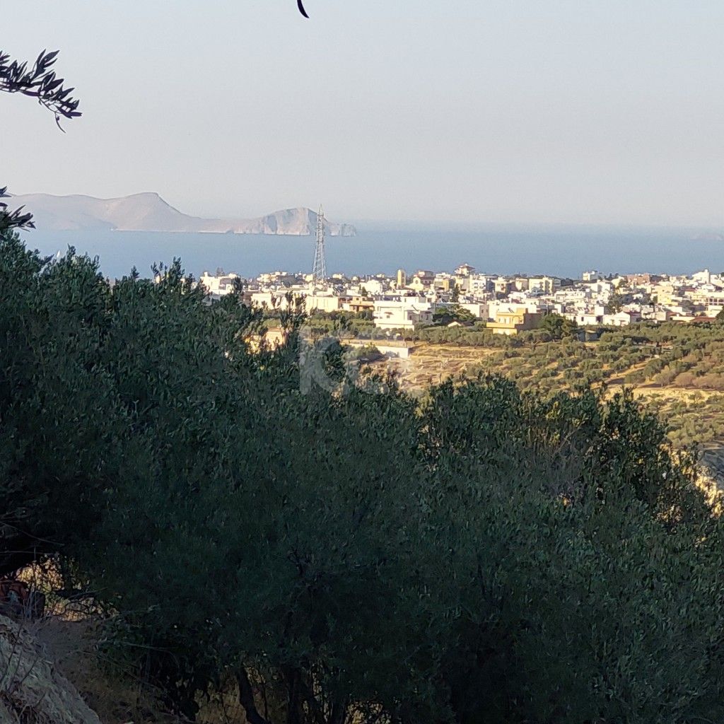 εικόνα αγγελίας