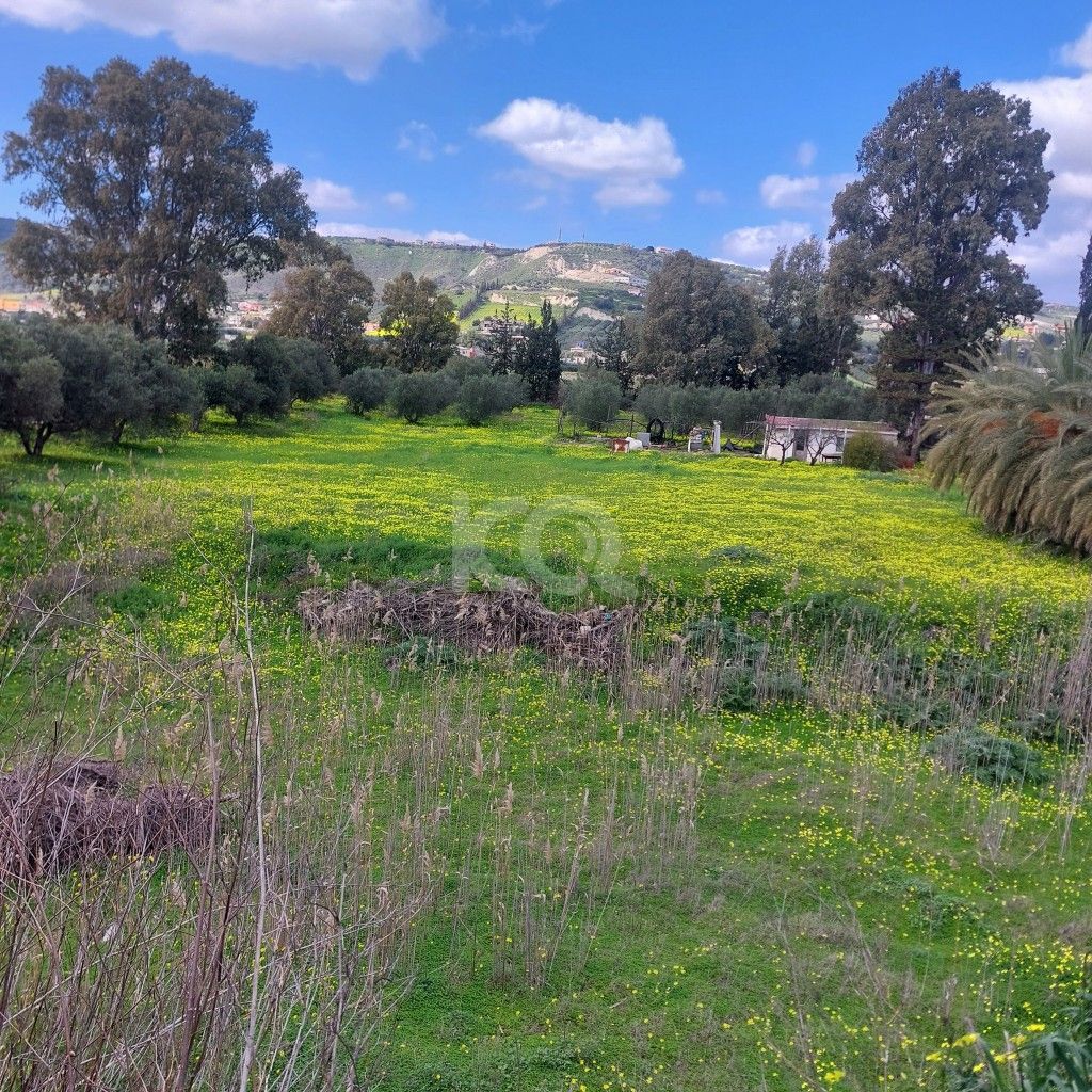 εικόνα αγγελίας