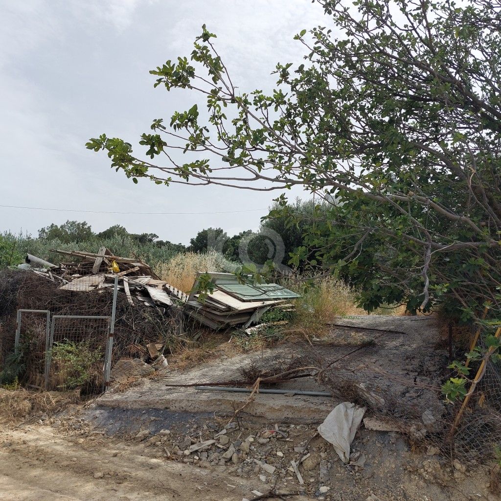 εικόνα αγγελίας