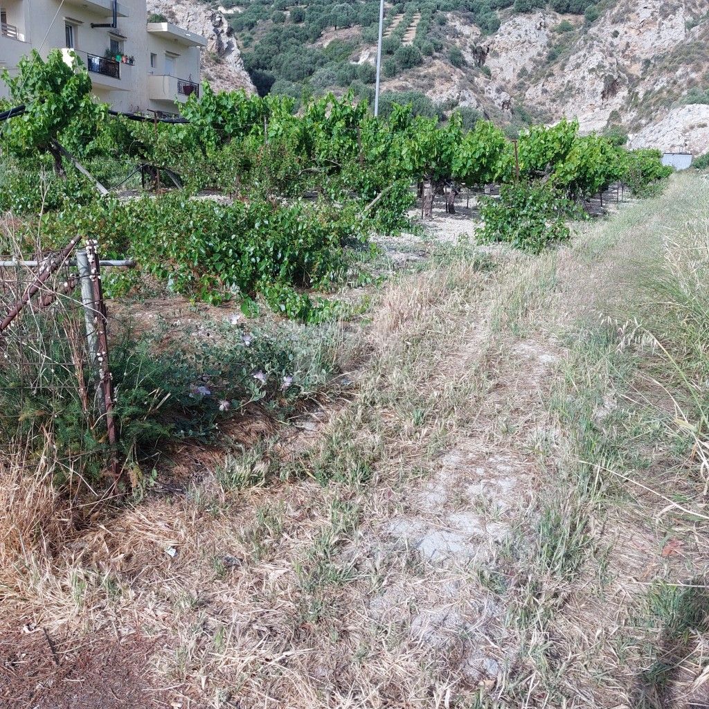 εικόνα αγγελίας