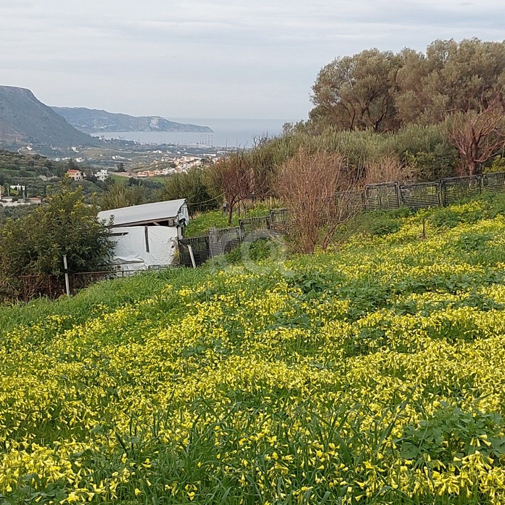 εικόνα αγγελίας