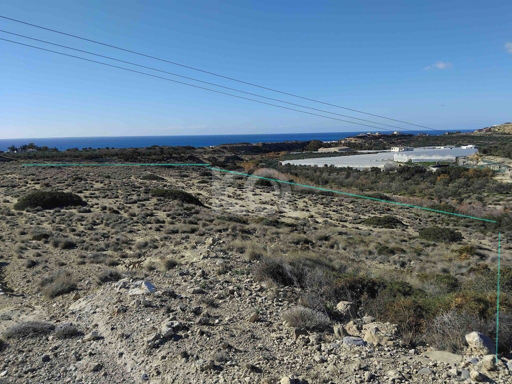 εικόνα αγγελίας