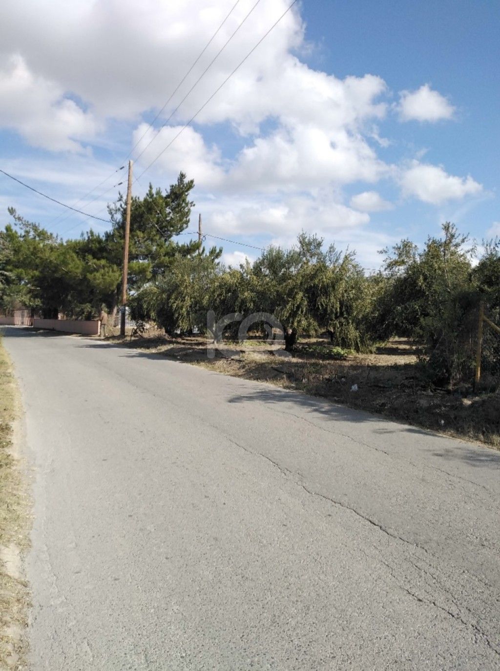 εικόνα αγγελίας