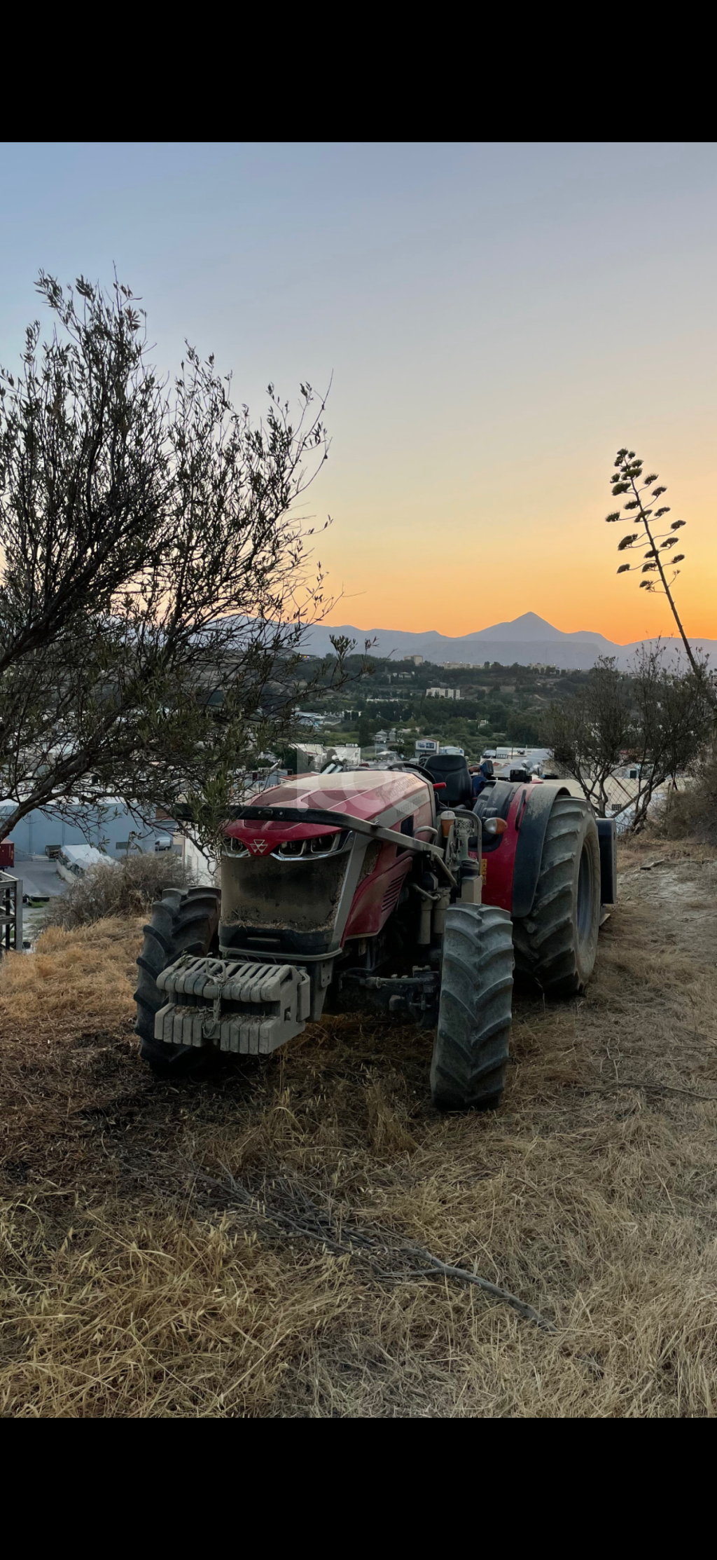 εικόνα αγγελίας