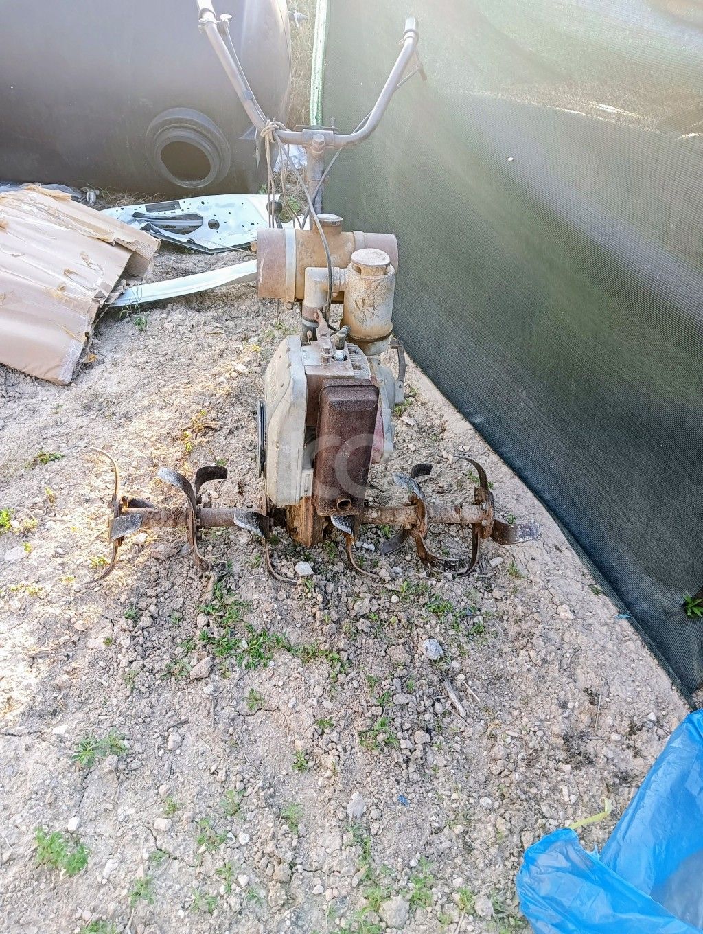 εικόνα αγγελίας