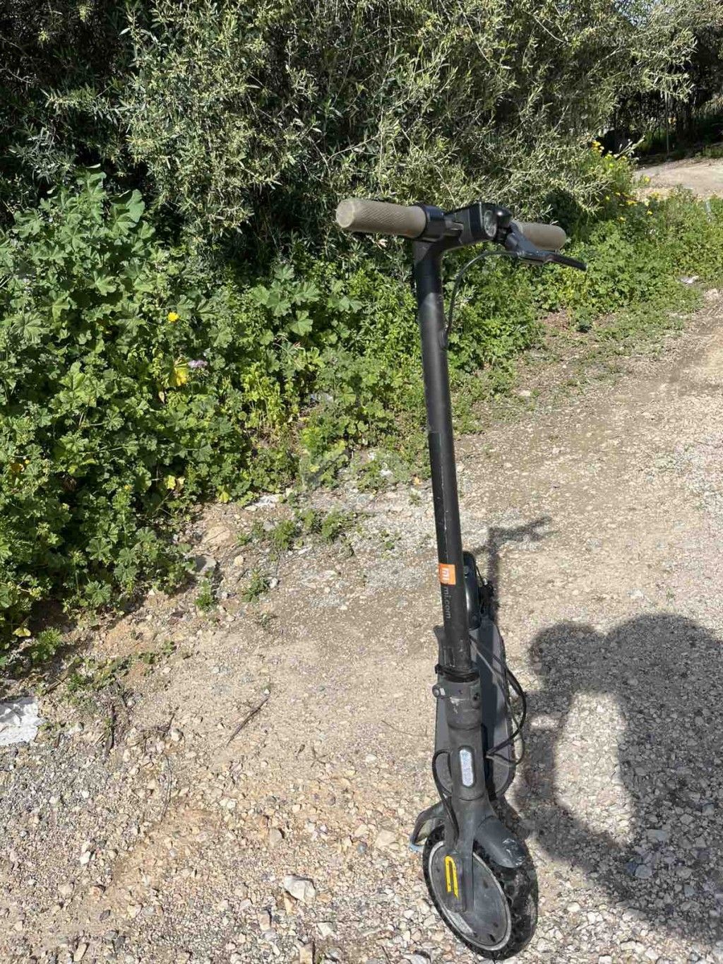 εικόνα αγγελίας