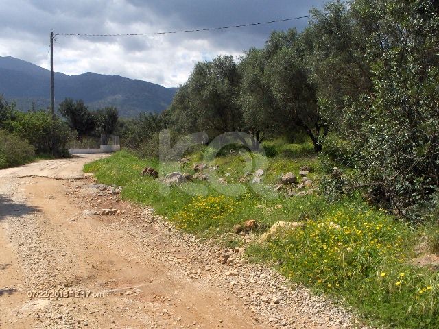 εικόνα αγγελίας