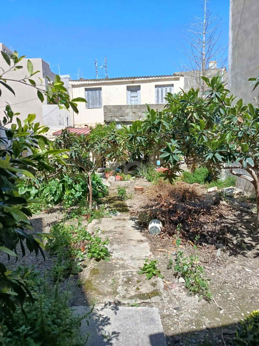 εικόνα αγγελίας