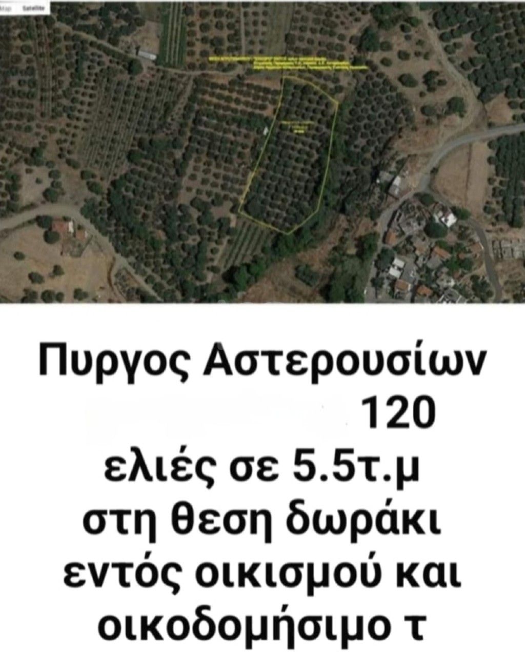 εικόνα αγγελίας