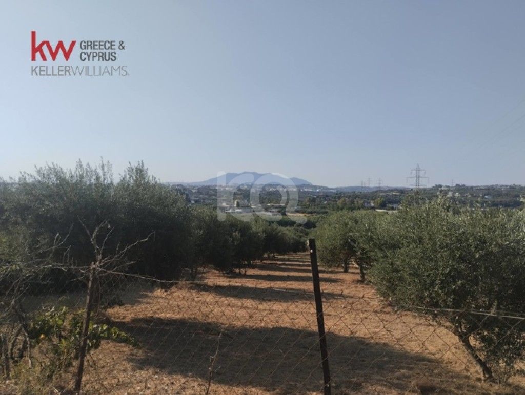 εικόνα αγγελίας