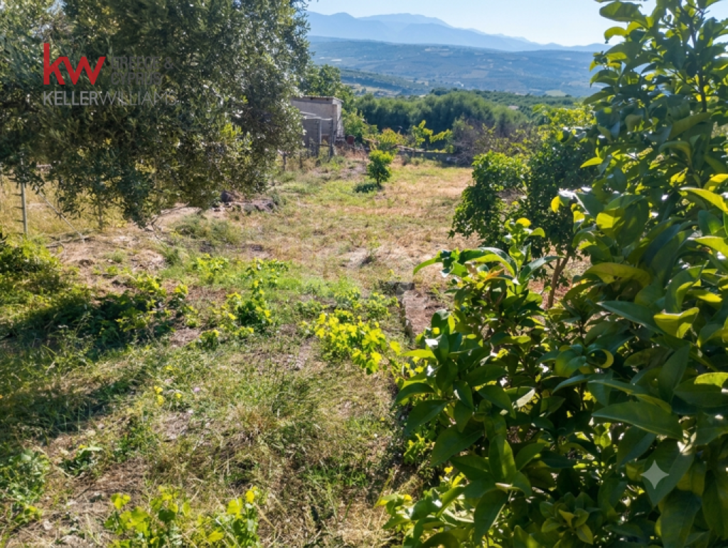 εικόνα αγγελίας
