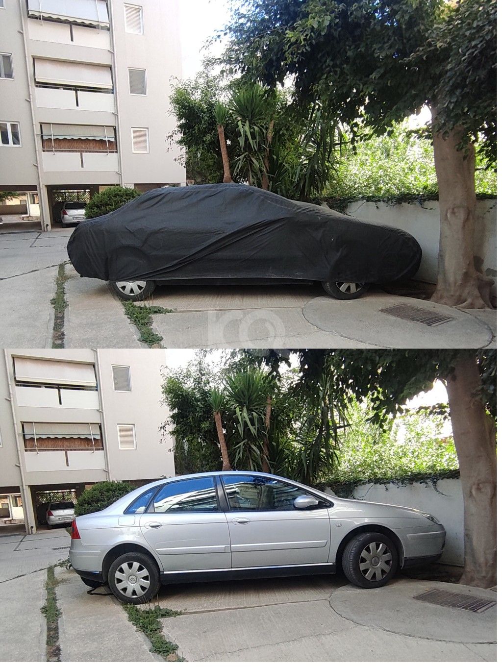 εικόνα αγγελίας
