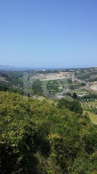 εικόνα αγγελίας