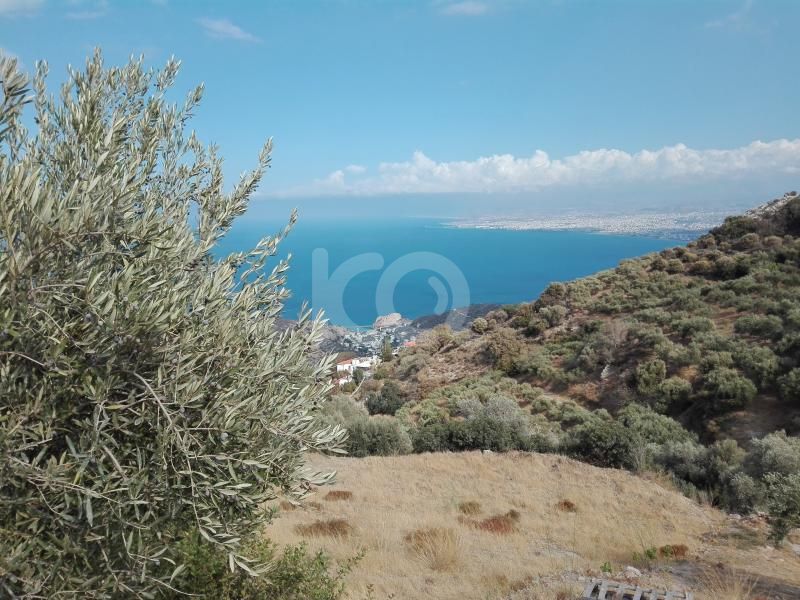 εικόνα αγγελίας