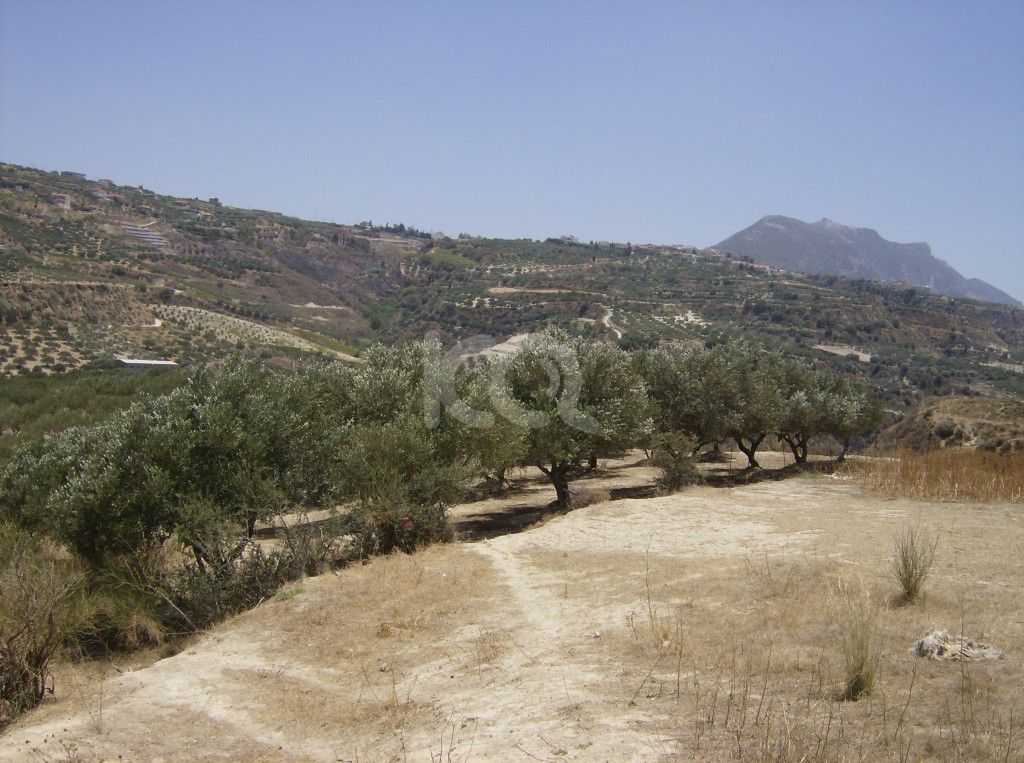 εικόνα αγγελίας