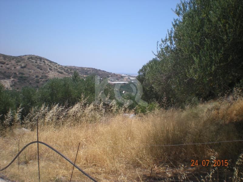 εικόνα αγγελίας