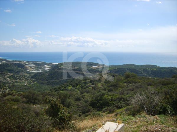 εικόνα αγγελίας