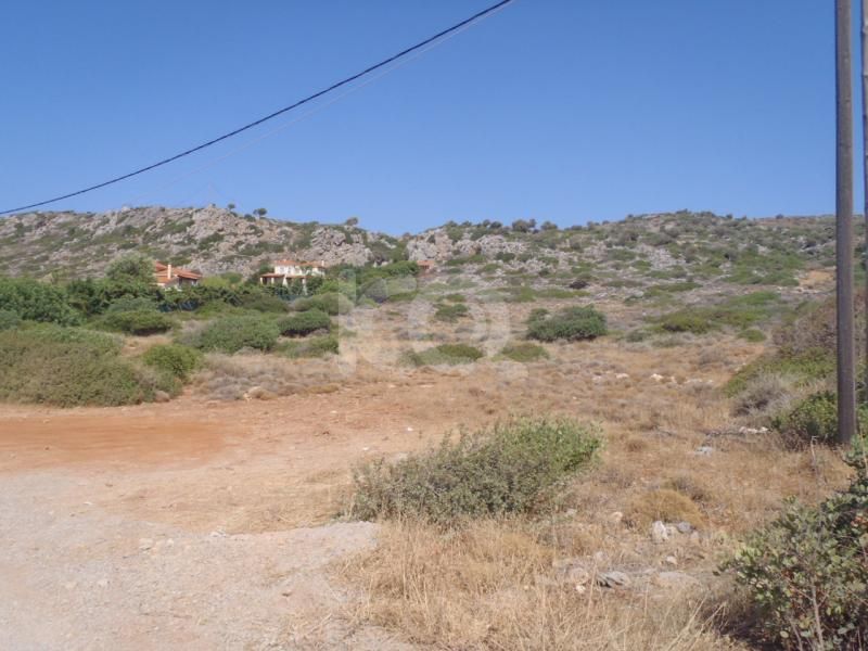εικόνα αγγελίας